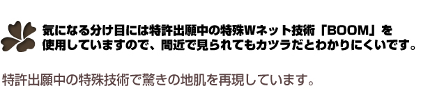 カツラだとわかりにくいです!