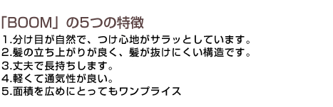 BOOM5つの特徴