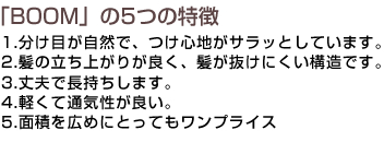 �uBOOM�v�̂T�̓���